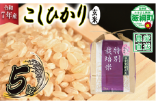 米 皇室献上実績 こしひかり ( 玄米 ) 5kg ( 令和7年産 ) 特別栽培米 仲俣農園 2025年10月上旬頃から順次発送予定 コシヒカリ 玄米 お米 信州 23000円 予約 農家直送 長野県 飯綱町 [0673]