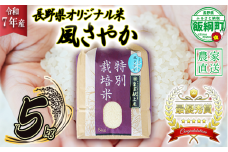 米 風さやか 5kg ( 令和7年産 ) 特別栽培米 仲俣農園 2025年11月上旬頃から順次発送予定 オリジナル米 風 さやか 白米 精米 お米 お弁当 おにぎり 信州 23000円 予約 農家直送 長野県 飯綱町 [0676]