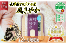 米 風さやか 5kg × 12回 【 12か月 定期便 】( 令和7年産 ) 特別栽培米 仲俣農園 2025年11月上旬頃から順次発送予定 オリジナル米 風 さやか 精米 お米 お弁当 おにぎり 信州 276000円 予約 農家直送 長野県 飯綱町 [0679]