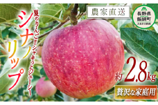 りんご シナノリップ 贅沢な 家庭用 2.8kg 信州りんご☆小山園☆ 沖縄県への配送不可 2025年8月中旬頃から2025年8月下旬頃まで順次発送予定 令和7年度収穫分 エコファーマー認定 小山園 信州 果物 フルーツ リンゴ 林檎 長野 11500円 予約 農家直送 長野県 飯綱町 [0687]