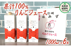 りんごジュース 1000ml × 6本 無添加 果汁100% 信州りんご☆小山園☆ エコファーマー認定 小山園 飲料 果汁飲料 りんご リンゴ 林檎 100% ジュース 信州 20500円 長野県 飯綱町 [0692]