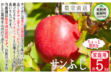 りんご サンふじちょっぴり贅沢な  家庭用 5kg 松澤農園 沖縄県への配送不可 2025年11月下旬頃から2026年2月下旬頃まで順次発送予定 令和7年度収穫分 長野県 飯綱町 [0715]