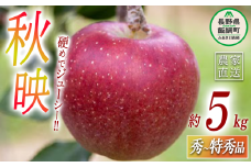 りんご 秋映 秀 〜 特秀 5kg 丸山りんご園 沖縄県への配送不可 2025年10月上旬頃から2025年10月下旬頃まで順次発送予定 令和7年度収穫分 信州 果物 フルーツ リンゴ 林檎 長野 14500円 予約 農家直送 長野県 飯綱町 [0706]