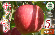 りんご サンふじ 家庭用 5kg 丸山りんご園 沖縄県への配送不可 2025年12月上旬頃から2025年12月下旬頃まで順次発送予定 令和7年度収穫分 信州 果物 フルーツ リンゴ 林檎 長野 12000円 予約 農家直送 長野県 飯綱町 [0710]