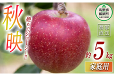 りんご 秋映 家庭用 5kg 丸山りんご園 沖縄県への配送不可 2025年10月上旬頃から2025年10月下旬頃まで順次発送予定 令和7年度収穫分 信州 果物 フルーツ リンゴ 林檎 長野 12000円 予約 農家直送 長野県 飯綱町 [0707]