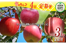 旬のりんご 【 定期便 】 家庭用 3kg × 4回 丸山りんご園 沖縄県への配送不可 2025年9月上旬頃から2025年12月下旬頃まで順次発送予定 令和7年度収穫分 信州 果物 フルーツ リンゴ 林檎 長野 44000円 予約 農家直送 長野県 飯綱町 [0709]