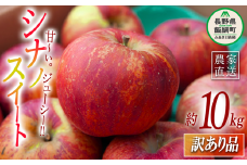 りんご シナノスイート 訳あり 10kg ヤマハチ農園 沖縄県への配送不可 2025年10月上旬頃から2025年11月上旬頃まで順次発送予定 令和7年度収穫分 BLOF理論栽培 傷 不揃い リンゴ 林檎 果物 フルーツ 信州 長野 19000円 予約 農家直送 長野県 飯綱町 [0658]