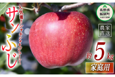 りんご サンふじ 家庭用 5kg ヤマハチ農園 沖縄県への配送不可 2025年11月中旬頃から2026年1月上旬頃まで順次発送予定 令和7年度収穫分 BLOF理論栽培 信州 果物 フルーツ リンゴ 林檎 長野 14000円 予約 農家直送 長野県 飯綱町 [0660]