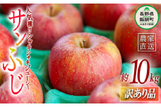 りんご サンふじ 訳あり 10kg ヤマハチ農園 沖縄県への配送不可 2025年11月中旬頃から2026年1月上旬頃まで順次発送予定 令和7年度収穫分 BLOF理論栽培 傷 不揃い リンゴ 林檎 果物 フルーツ 信州 長野 20000円 予約 農家直送 長野県 飯綱町 [0661]