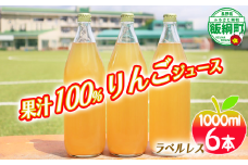 [0616] りんごジュース 1000mL×6本 ＜ラベル無し＞ 果汁100％ ※沖縄および離島への配送不可 長野県 飯綱町