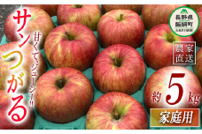 りんご サンつがる 家庭用 5kg 丸西農園 沖縄県への配送不可 2025年9月上旬頃から2025年9月中旬頃まで順次発送予定 令和7年度収穫分 特別栽培農産物 ( 除草剤 化学肥料 不使用 ) 信州 果物 フルーツ リンゴ 林檎 長野 12000円 予約 農家直送 長野県 飯綱町 [0723]