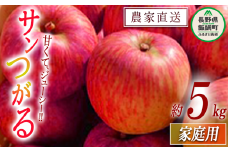 りんご サンつがる 家庭用 5kg ファームたんぽぽ 沖縄県への配送不可 2025年9月上旬頃から2025年9月中旬頃まで順次発送予定 令和7年度収穫分 信州 果物 フルーツ リンゴ 林檎 長野 予約 農家直送 長野県 飯綱町 [0730]