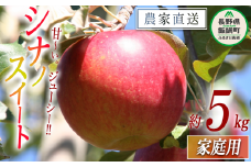 りんご シナノスイート 家庭用 5kg ファームたんぽぽ 2025年10月下旬頃から2025年11月上旬頃まで順次発送予定 令和7年度収穫分 信州 果物 フルーツ リンゴ 林檎 長野 予約 農家直送 長野県 飯綱町 [0733]
