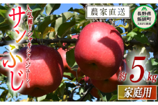 りんご サンふじ 家庭用 5kg ファームたんぽぽ 沖縄県への配送不可 2025年12月上旬頃から2025年12月下旬頃まで順次発送予定 令和7年度収穫分 信州 果物 フルーツ リンゴ 林檎 長野 予約 農家直送 長野県 飯綱町 [0735]