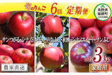 旬のりんご 【 定期便 】 家庭用 3kg × 6回 ファームたんぽぽ 沖縄県への配送不可 2025年9月上旬頃から2025年12月下旬頃まで順次発送予定 令和7年度収穫分 信州 果物 フルーツ リンゴ 林檎 長野 予約 農家直送 長野県 飯綱町 [0736]