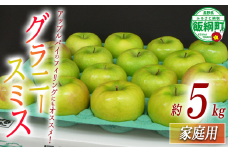 【 すっぱいりんご 】 りんご グラニースミス 家庭用 5kg 2025年11月中旬頃から2026年2月下旬頃まで順次発送予定 ふるさと振興公社 林檎 リンゴ 長野県 飯綱町 [0746]