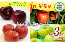 珍しい レア 人気 旬の りんご 【 定期便 】 家庭用 3kg × 4回 永野農園 沖縄県への配送不可 2025年8月中旬頃から2025年12月中旬頃まで順次発送予定 令和7年度収穫分 信州 果物 フルーツ リンゴ 林檎 長野 予約 農家直送 長野県 飯綱町 [0745]