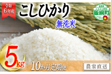 [0742]【令和6年度収穫分】無洗米こしひかり5kg【10カ月定期便】 沖縄県への配送不可 ※2024年10月頃から順次発送予定　永野農園　長野県飯綱町