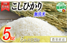 [0483]【令和6年度収穫分】無洗米こしひかり5kg【6カ月定期便】 沖縄県への配送不可 ※2024年10月上旬頃から順次発送予定　永野農園　長野県飯綱町