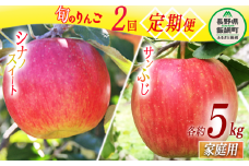 旬のりんご 【 定期便 】 家庭用 5kg × 2回 永正の地蔵尊神谷農園 沖縄県への配送不可 2025年10月上旬頃から2025年12月中旬頃まで順次発送予定 令和7年度収穫分 信州 果物 フルーツ リンゴ 林檎 長野 25000円 予約 農家直送 長野県 飯綱町 [0777]