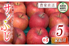 りんご サンふじ 家庭用 ( 小玉 ) 5kg 原山農園 沖縄県への配送不可 2026年1月上旬頃から2026年3月上旬頃まで順次発送予定 令和7年度収穫分 信州 果物 フルーツ リンゴ 林檎 長野 予約 農家直送 長野県 飯綱町 [0785]