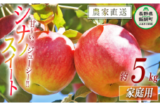 りんご シナノスイート 家庭用 5kg 原山農園 沖縄県への配送不可 2024年10月中旬頃から2024年11月上旬頃まで順次発送予定 令和6年度収穫分 信州 果物 フルーツ リンゴ 林檎 長野 12000円 予約 農家直送 長野県 飯綱町 [0784]