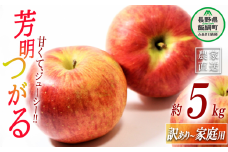 りんご 芳明つがる 訳あり 5kg 米澤農園 沖縄県への配送不可 2023年9月上旬頃から2023年9月中旬頃まで順次発送予定 令和5年度収穫分 傷 不揃い リンゴ 林檎 果物 フルーツ ほうめい つがる 信州 長野 13000円 予約 農家直送 長野県 飯綱町 [0795]
