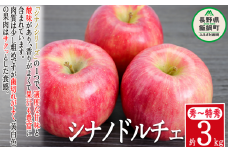 りんご シナノドルチェ 秀 ～ 特秀 3kg 菅谷さんのりんご 沖縄県への配送不可 2025年9月下旬頃から2025年10月上旬頃まで順次発送予定 令和7年度出荷分 長野県 飯綱町 [0790]