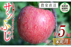 りんご サンふじ 家庭用 5kg 寺島農園 沖縄県への配送不可 2025年11月下旬頃から2026年2月上旬頃まで順次発送予定 令和7年度収穫分 信州 果物 フルーツ リンゴ 林檎 長野 予約 農家直送 長野県 飯綱町 [0770]