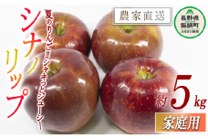 りんご シナノリップ 家庭用 5kg 渡辺農園 沖縄県への配送不可 2025年8月中旬頃から2025年8月下旬頃まで順次発送予定 令和7年度収穫分 エコファーマー認定 減農薬栽培 長野県 飯綱町 [0802]