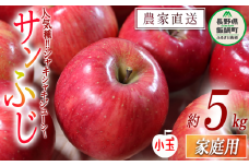 りんご サンふじ 家庭用 ( 小玉 ) 5kg 渡辺農園 沖縄県への配送不可 2025年12月中旬頃から2026年1月中旬頃まで順次発送予定 令和7年度収穫分 エコファーマー認定 減農薬栽培 長野県 飯綱町 [0803]