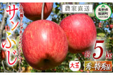 りんご サンふじ 秀 ～ 特秀 ( 大玉 ) 5kg 渡辺農園 沖縄県への配送不可 2025年12月上旬頃から2026年1月中旬頃まで順次発送予定 令和7年度収穫分 エコファーマー認定 減農薬栽培 長野県 飯綱町 [0804]
