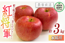 りんご 紅将軍 家庭用 3kg 永野農園 沖縄県への配送不可 2025年9月下旬頃から2025年10月上旬頃まで順次発送予定 令和7年度収穫分 信州 果物 フルーツ リンゴ 林檎 長野 予約 農家直送 長野県 飯綱町 [0798]