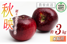 りんご 秋映 家庭用 3kg 永野農園 沖縄県への配送不可 2025年10月上旬頃から2025年10月中旬頃まで順次発送予定 令和7年度収穫分 信州 果物 フルーツ リンゴ 林檎 長野 予約 農家直送 長野県 飯綱町 [0799]