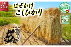 米 はぜかけ こしひかり 5kg ( 令和7年産 ) 増田さんちのお米 沖縄県への配送不可 2025年11月上旬頃から順次発送予定 コシヒカリ 白米 精米 お米 信州 予約 農家直送 長野県 飯綱町 [0814]