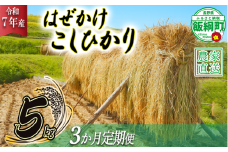 米 はぜかけ こしひかり 5kg × 3回 【 3か月 定期便 】( 令和7年産 ) 増田さんちのお米 沖縄県への配送不可 2025年11月上旬頃から順次発送予定 コシヒカリ 白米 精米 お米 信州 予約 農家直送 長野県 飯綱町 [0815]