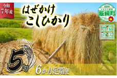 米 はぜかけ こしひかり 5kg × 6回 【 6か月 定期便 】( 令和7年産 ) 増田さんちのお米 沖縄県への配送不可 2025年11月上旬頃から順次発送予定 コシヒカリ 白米 精米 お米 信州 予約 農家直送 長野県 飯綱町 [0816]