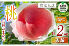 もも 秀品 約 2kg 増田ファーム 配送先は本州限定 2025年8月上旬頃から2025年9月下旬頃まで順次発送予定 令和7年度収穫分 信州 果物 フルーツ モモ 桃 長野 予約 農家直送 長野県 飯綱町 [0817]