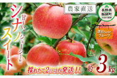 りんご シナノスイート 家庭用 3kg 採れたてを発送 増田ファーム 沖縄県への配送不可 2025年10月上旬頃から2025年11月上旬頃まで順次発送予定 令和7年度収穫分 信州 果物 フルーツ リンゴ 林檎 長野 予約 農家直送 長野県 飯綱町 [0819]