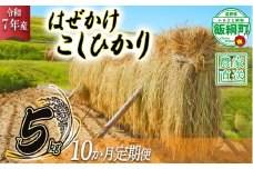 米 はぜかけ こしひかり 5kg × 10回 【 10か月 定期便 】( 令和7年産 ) 増田さんちのお米 沖縄県への配送不可 2025年11月上旬頃から順次発送予定 コシヒカリ 白米 精米 お米 信州 予約 農家直送 長野県 飯綱町 [0820]