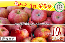 旬のりんご 【 定期便 】 訳あり 9kg 〜 10kg × 4回 松橋りんご園 沖縄県への配送不可 2025年9月上旬頃から2025年12月下旬頃まで順次発送予定 令和7年度収穫分 フルーツ リンゴ 信州 長野県 飯綱町 [0832]