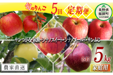 旬のりんご 【 定期便 】 家庭用 4.5kg 〜 5kg × 5回 松橋りんご園 沖縄県への配送不可 2025年9月上旬頃から2025年12月下旬頃まで順次発送予定 令和7年度収穫分 フルーツ リンゴ 信州 長野県 飯綱町 [0831]