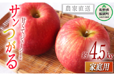 りんご サンつがる 家庭用 4.5kg 松橋りんご園 沖縄県への配送不可 2025年9月上旬頃から2025年9月中旬頃まで順次発送予定 令和7年度収穫分 フルーツ リンゴ 信州 長野県 飯綱町 [0823]