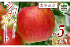 りんご シナノスイート 家庭用 5kg 松橋りんご園 沖縄県への配送不可 2025年10月上旬頃から2025年11月上旬頃まで順次発送予定 令和7年度収穫分 フルーツ リンゴ 信州 長野県 飯綱町 [0826]