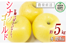りんご シナノゴールド 秀 ～ 特秀 5kg 松橋りんご園 沖縄県への配送不可 2025年11月上旬頃から2025年12月中旬頃まで順次発送予定 令和7年度収穫分 フルーツ リンゴ 信州 長野県 飯綱町 [0827]