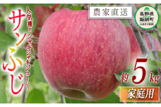 りんご サンふじ 家庭用 5kg 大友農場 エコファーマー認定 沖縄県への配送不可 2025年12月中旬頃から2026年1月末頃まで順次発送予定 令和7年度収穫分 信州 果物 フルーツ リンゴ 林檎 長野 予約 農家直送 長野県 飯綱町 [0835]