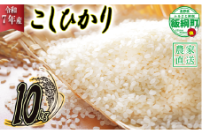 米 こしひかり 10kg ( 令和7年産 ) 高橋商事 2025年11月上旬頃から順次発送予定 コシヒカリ 白米 精米 お米 信州 25000円 予約 農家直送 長野県 飯綱町 [0838]