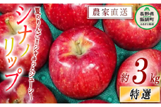 りんご シナノリップ 特選 3kg やまじゅうファーム 沖縄県への配送不可 2025年8月中旬頃から2025年9月上旬頃まで順次発送予定 令和7年度収穫分 信州の環境にやさしい農産物 減農薬栽培 長野県 飯綱町 [0850]