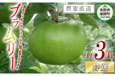 りんご ブラムリー 特選 3kg やまじゅうファーム 沖縄県への配送不可 2025年8月中旬頃から2025年9月上旬頃まで順次発送予定 信州の環境にやさしい農産物 減農薬栽培 令和7年度収穫分 長野県 飯綱町 [0852]
