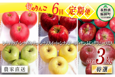旬のりんご 【 定期便 】 特選 3kg × 6回 やまじゅうファーム 沖縄県への配送不可 2025年8月下旬頃から2026年1月下旬頃まで順次発送予定 令和7年度収穫分 信州の環境にやさしい農産物 減農薬栽培 長野県 飯綱町 [0856]